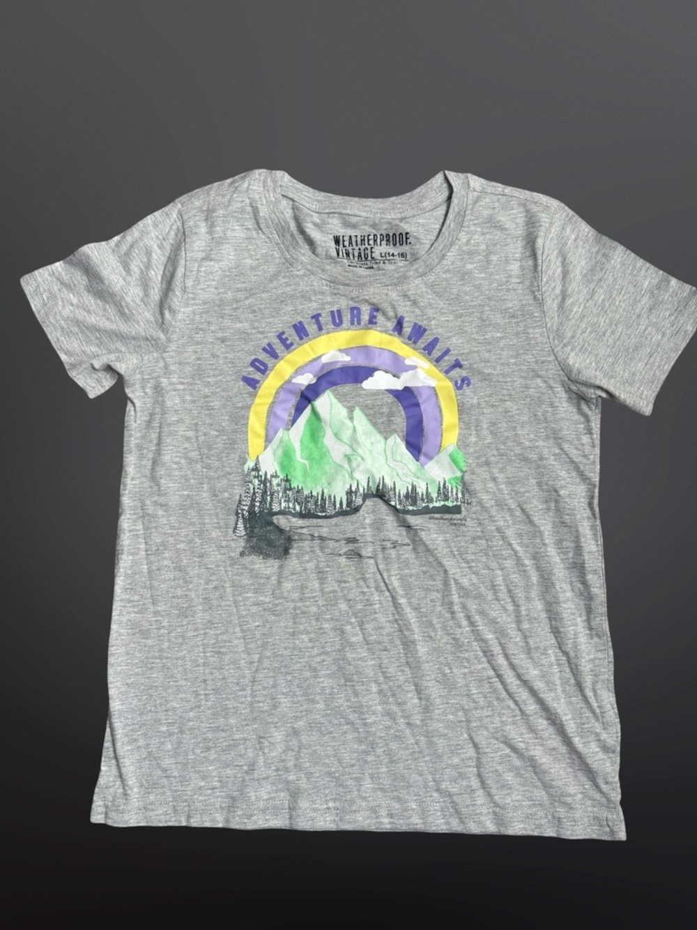 Weatherproof Kids 'Adventure Awaits' Gray Graphic Tee Size L - Picture 2 of 5